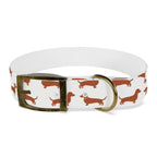 DL Brand Dog Collar — Dachshund Pattern | Doxie League