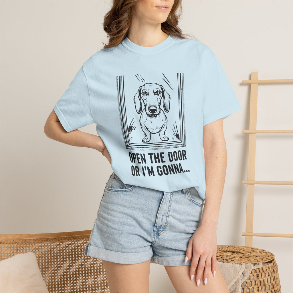 Open The Door - Doxie League Tee