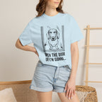 Open The Door - Doxie League Tee