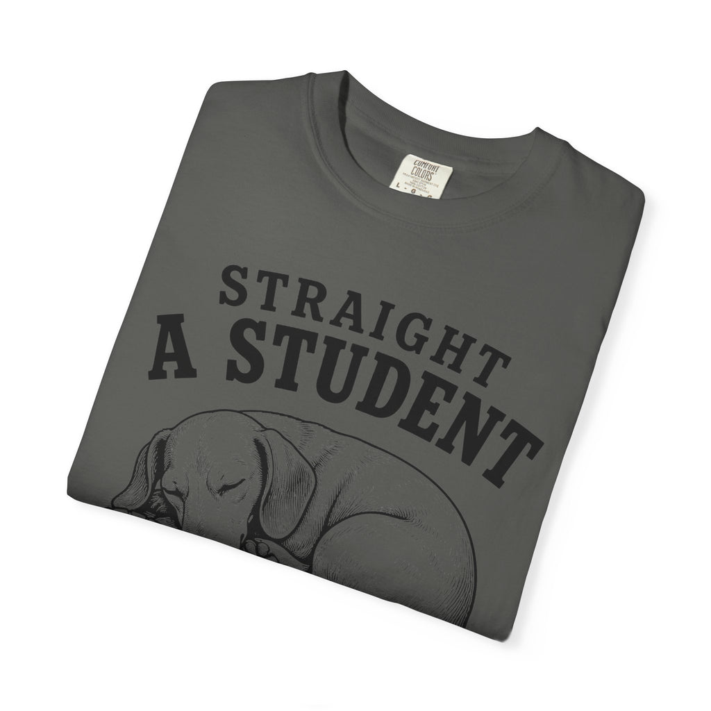 Straight A Student In Napping Dachshund Shirt — The Educational Series