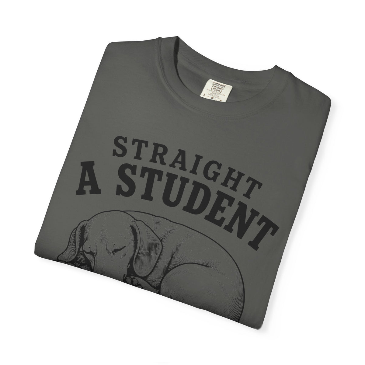 Straight A Student In Napping Dachshund Shirt — The Educational Series