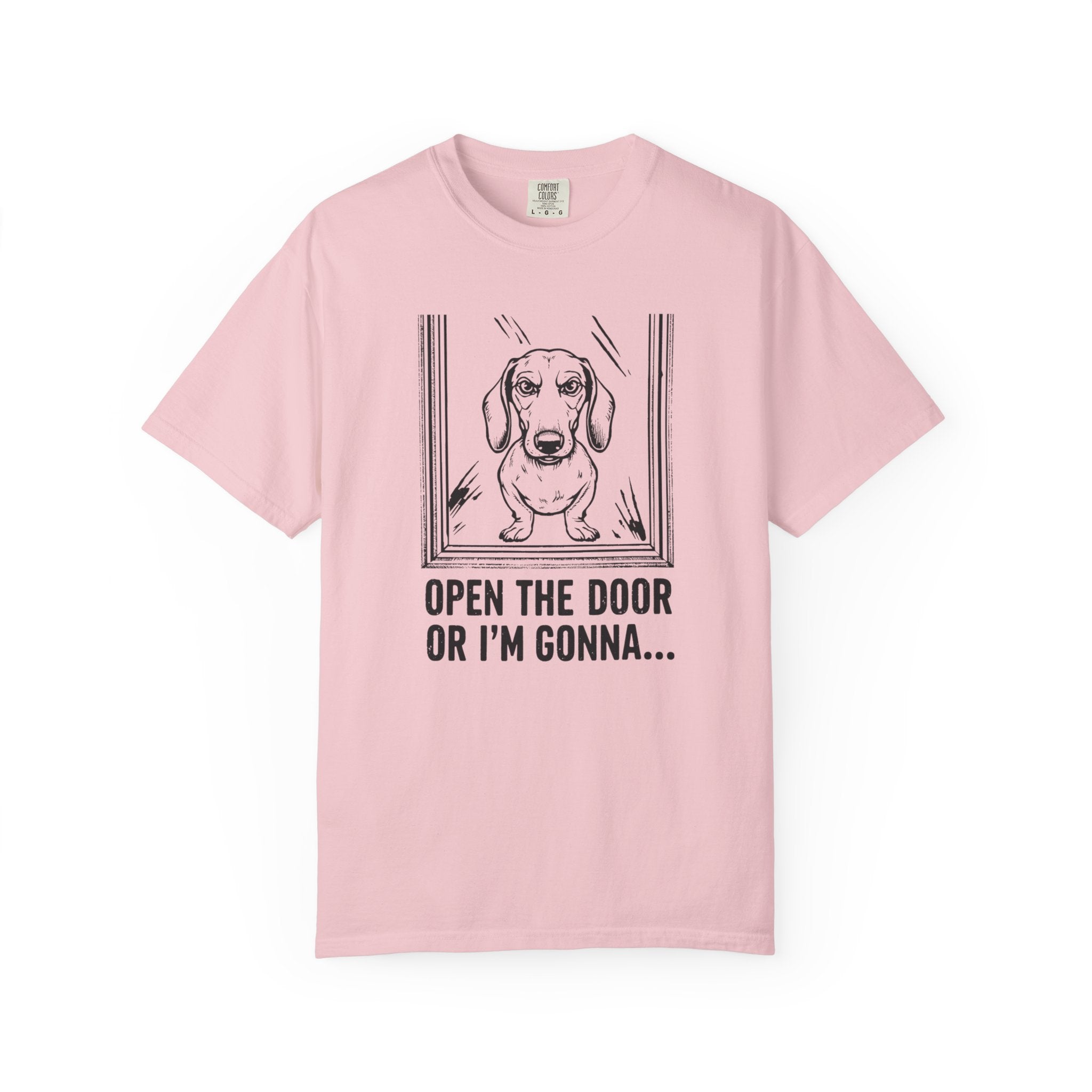 Open The Door - Doxie League Tee