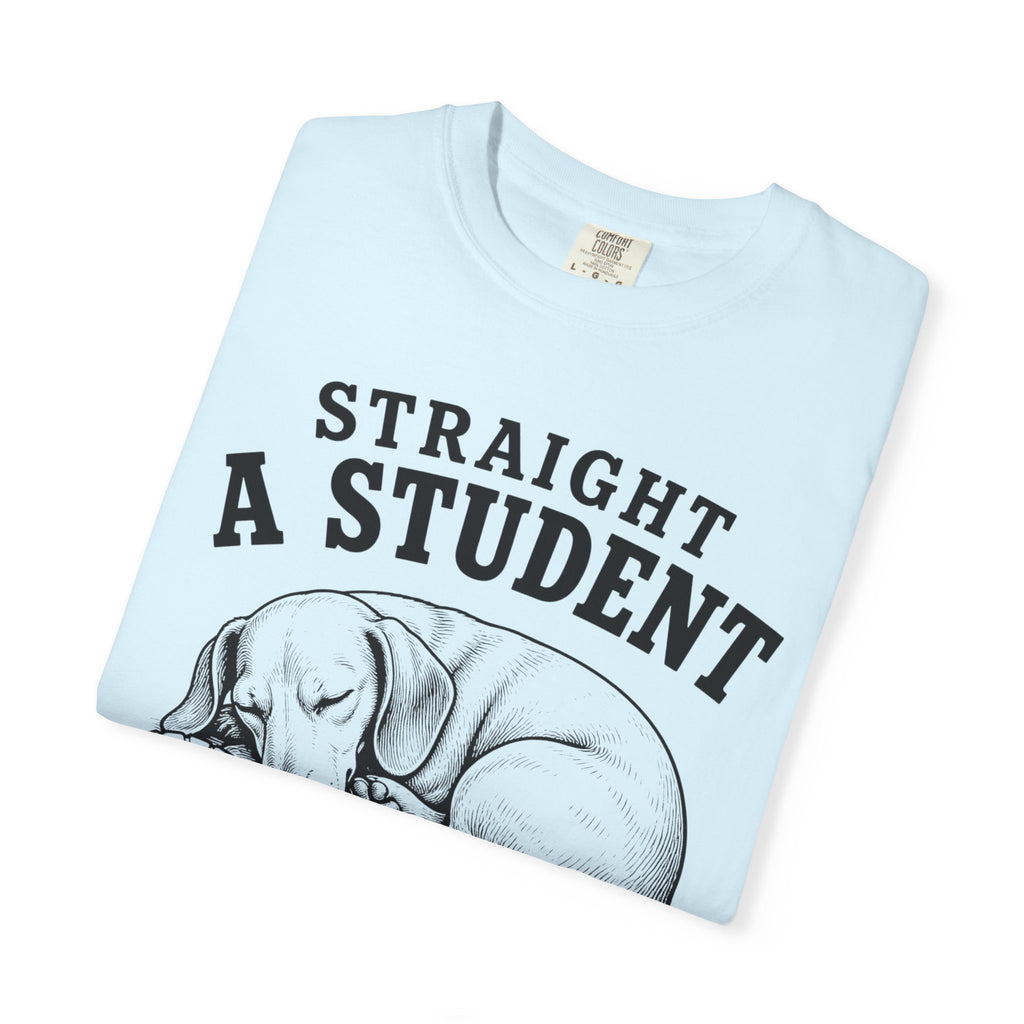 Straight A Student In Napping Dachshund Shirt — The Educational Series