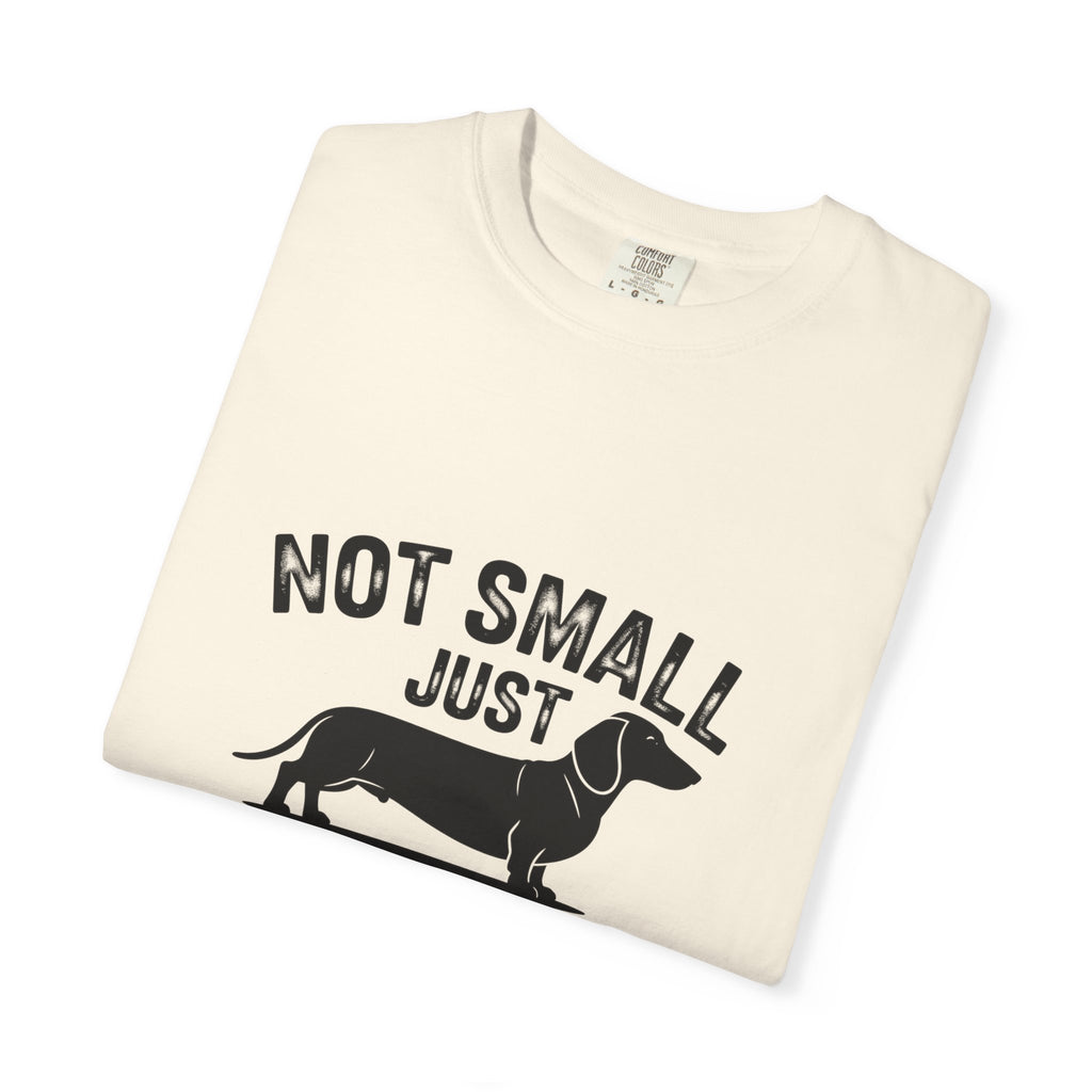 Fun Sized - Doxie League Tee