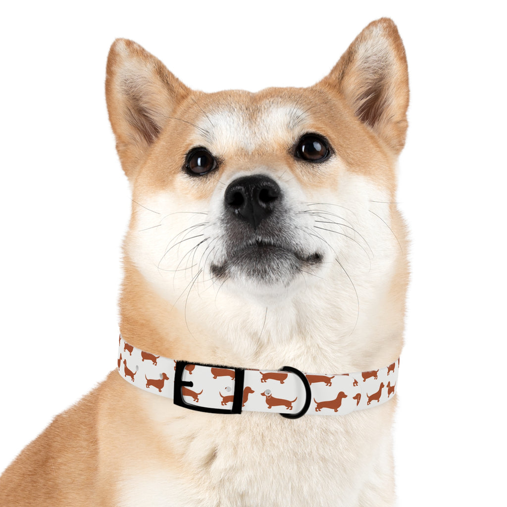 DL Brand Dog Collar — Dachshund Pattern | Doxie League