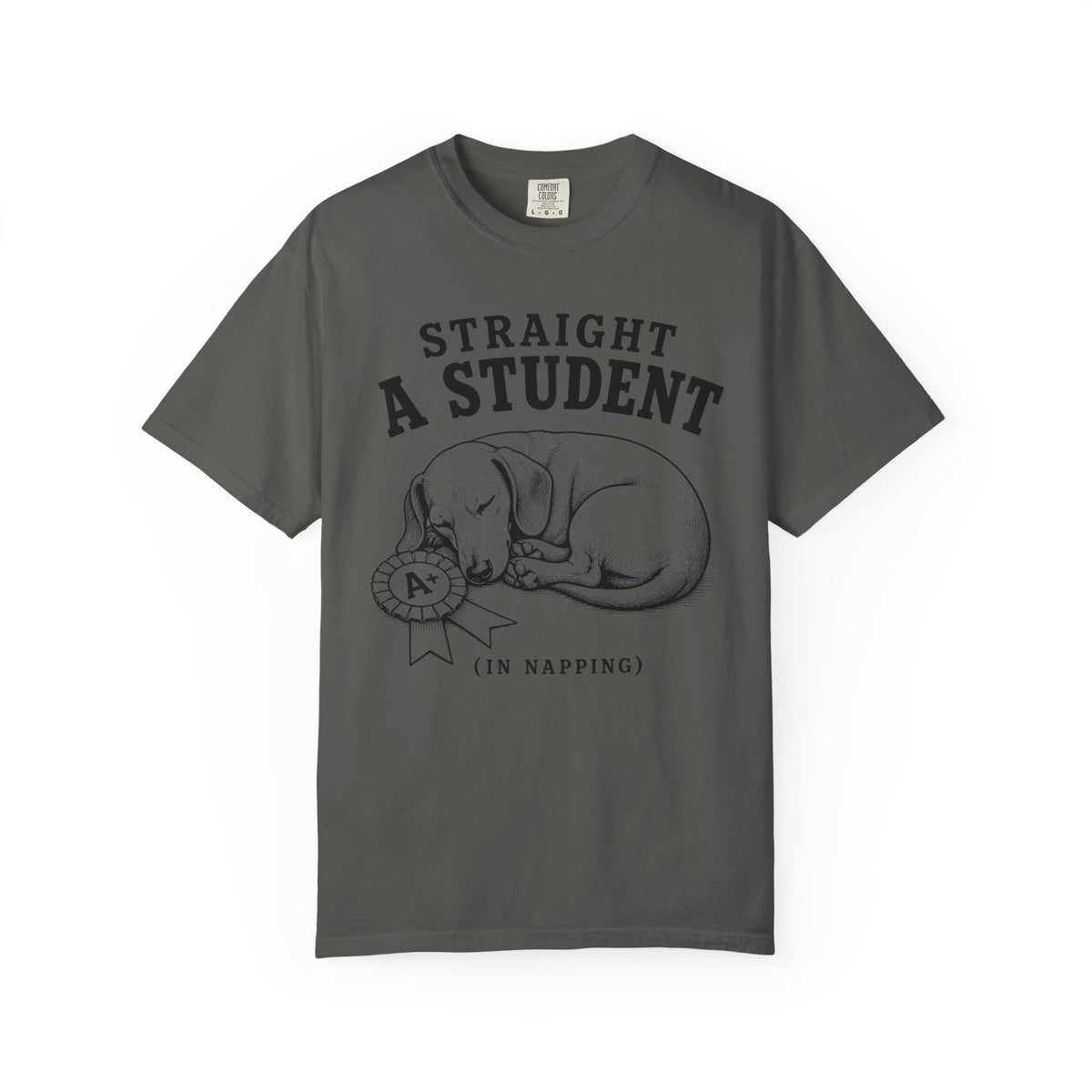 Straight A Student In Napping Dachshund Shirt — The Educational Series