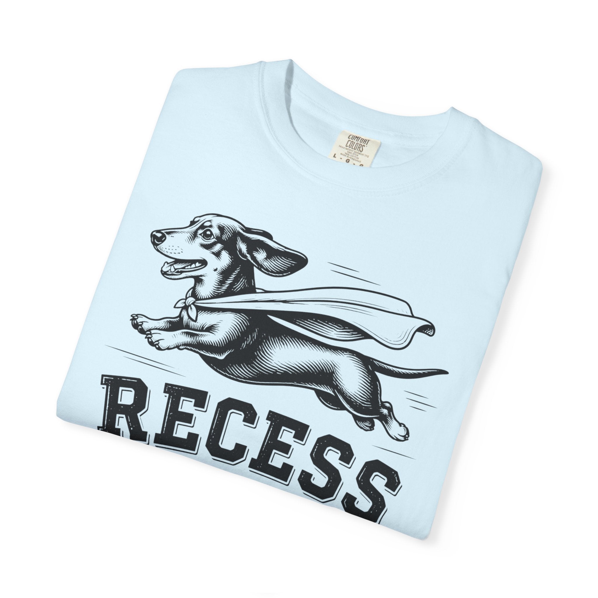 Recess Champion Dachshund Shirt — The Educational Series