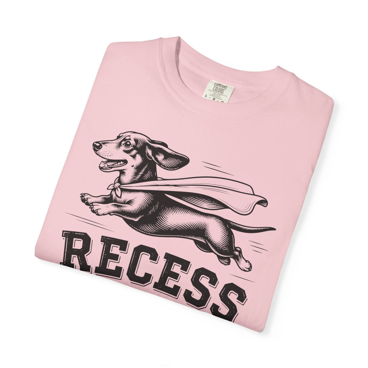 Recess Champion Dachshund Shirt — The Educational Series
