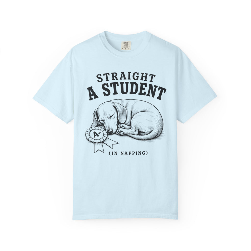 Straight A Student In Napping Dachshund Shirt — The Educational Series