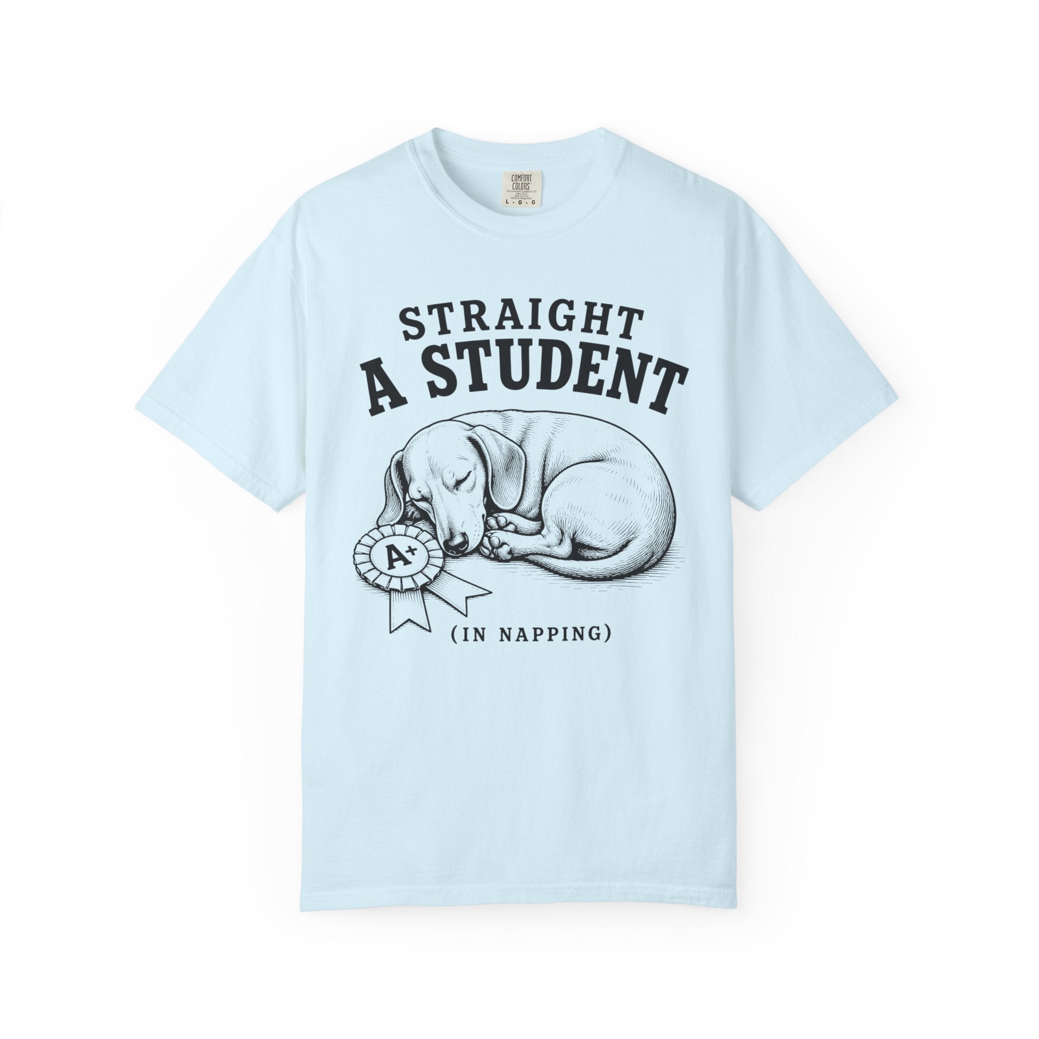 Straight A Student In Napping Dachshund Shirt — The Educational Series