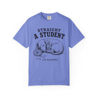 Straight A Student In Napping Dachshund Shirt — The Educational Series