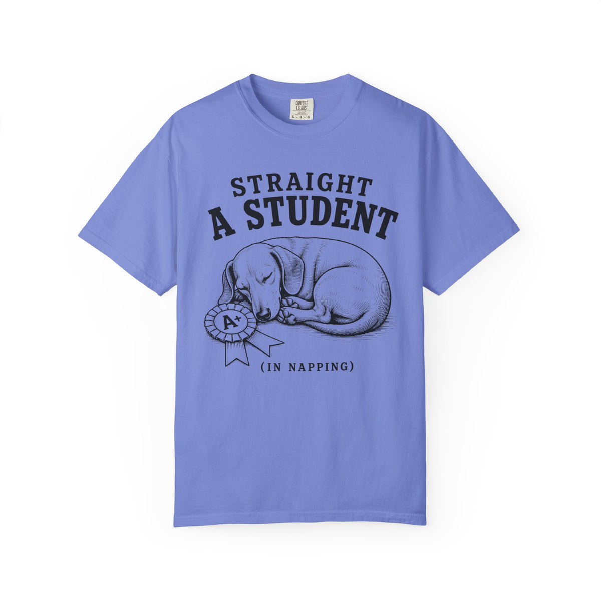 Straight A Student In Napping Dachshund Shirt — The Educational Series