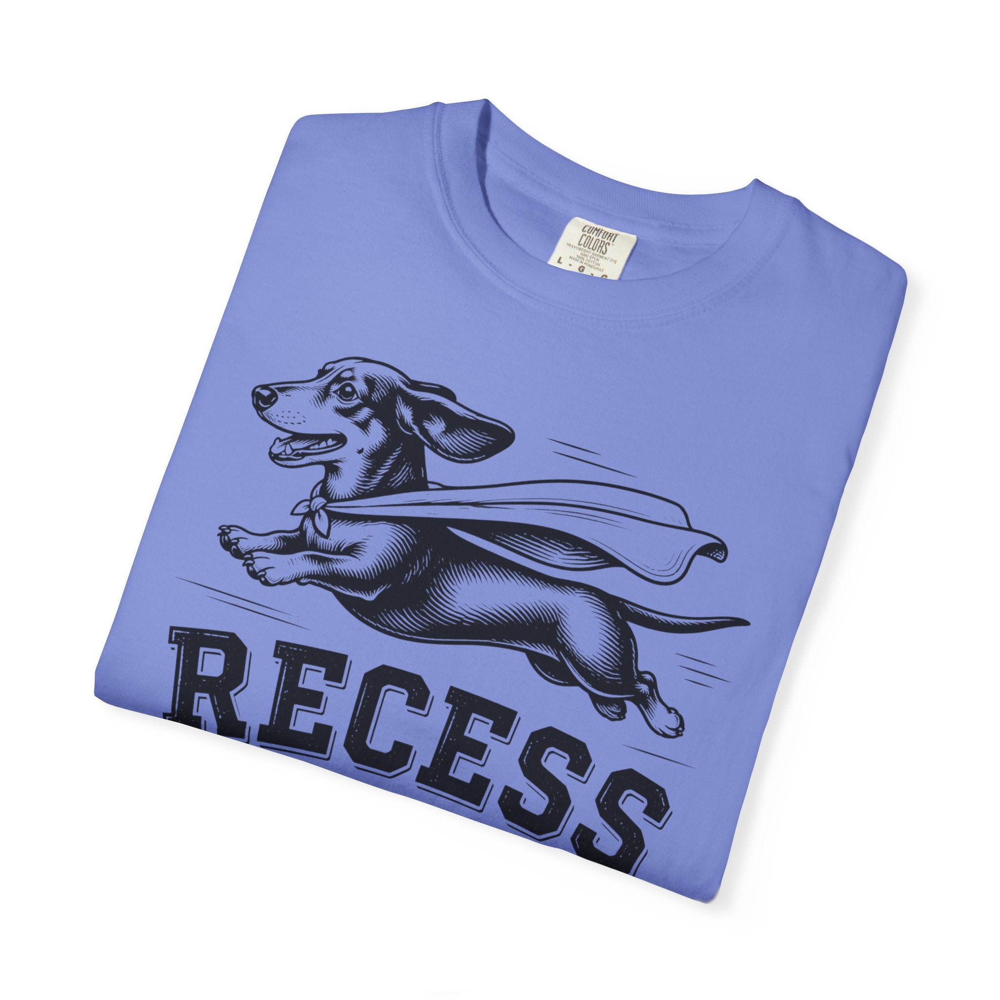 Recess Champion Dachshund Shirt — The Educational Series