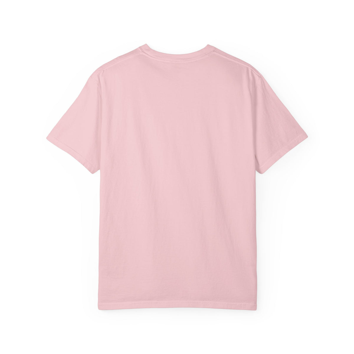 Coach's Whistle Dachshund Shirt — The Educational Series