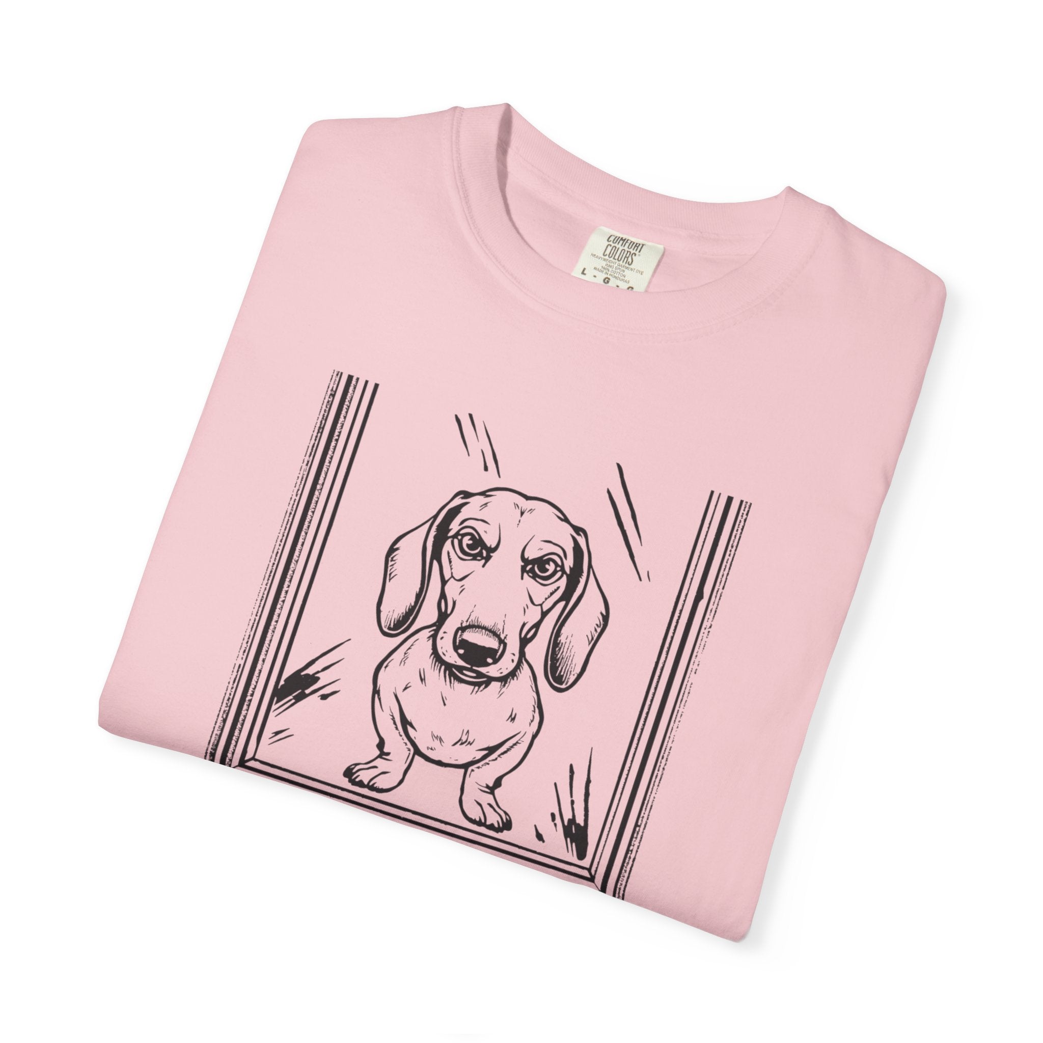 Open The Door - Doxie League Tee