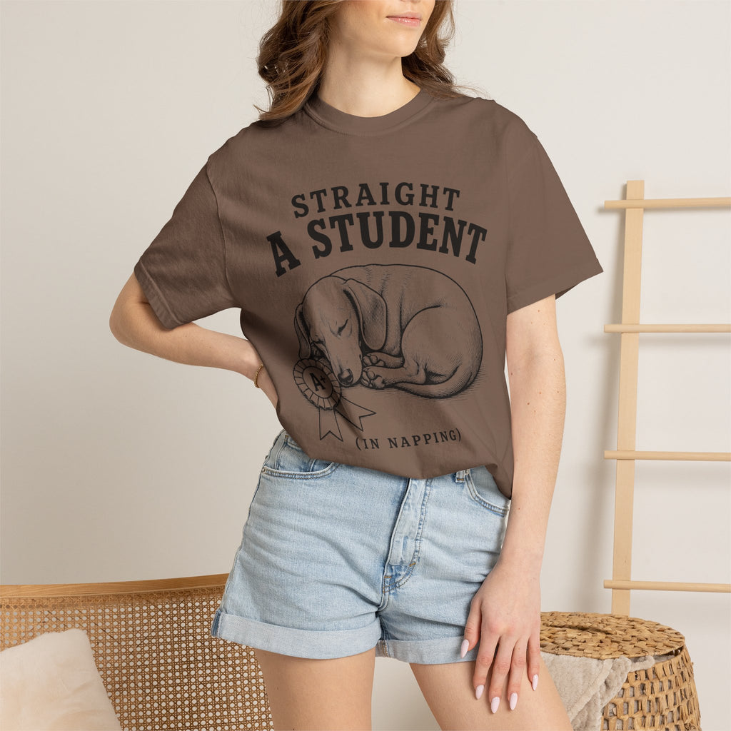 Straight A Student In Napping Dachshund Shirt — The Educational Series