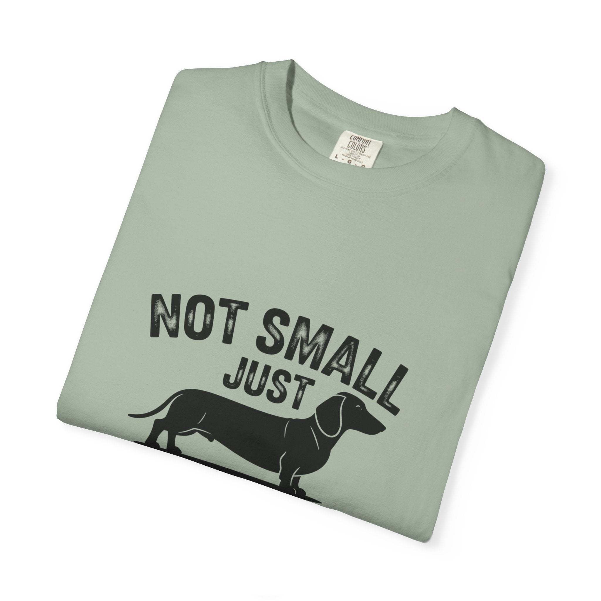 Fun Sized - Doxie League Tee
