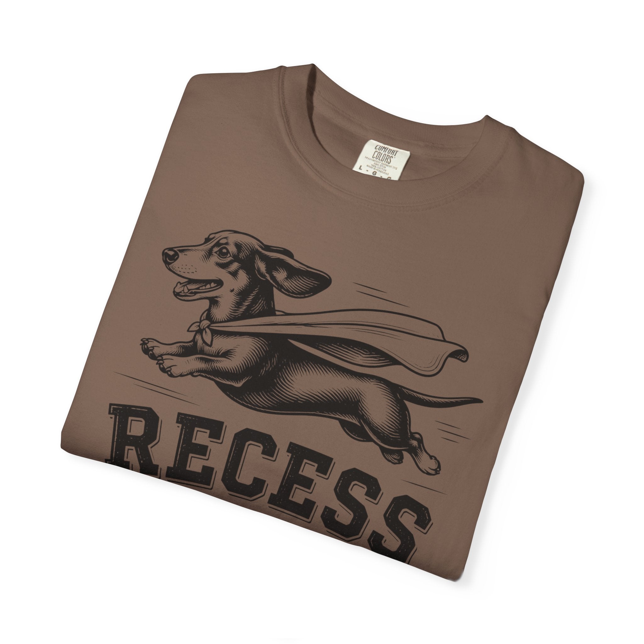 Recess Champion Dachshund Shirt — The Educational Series