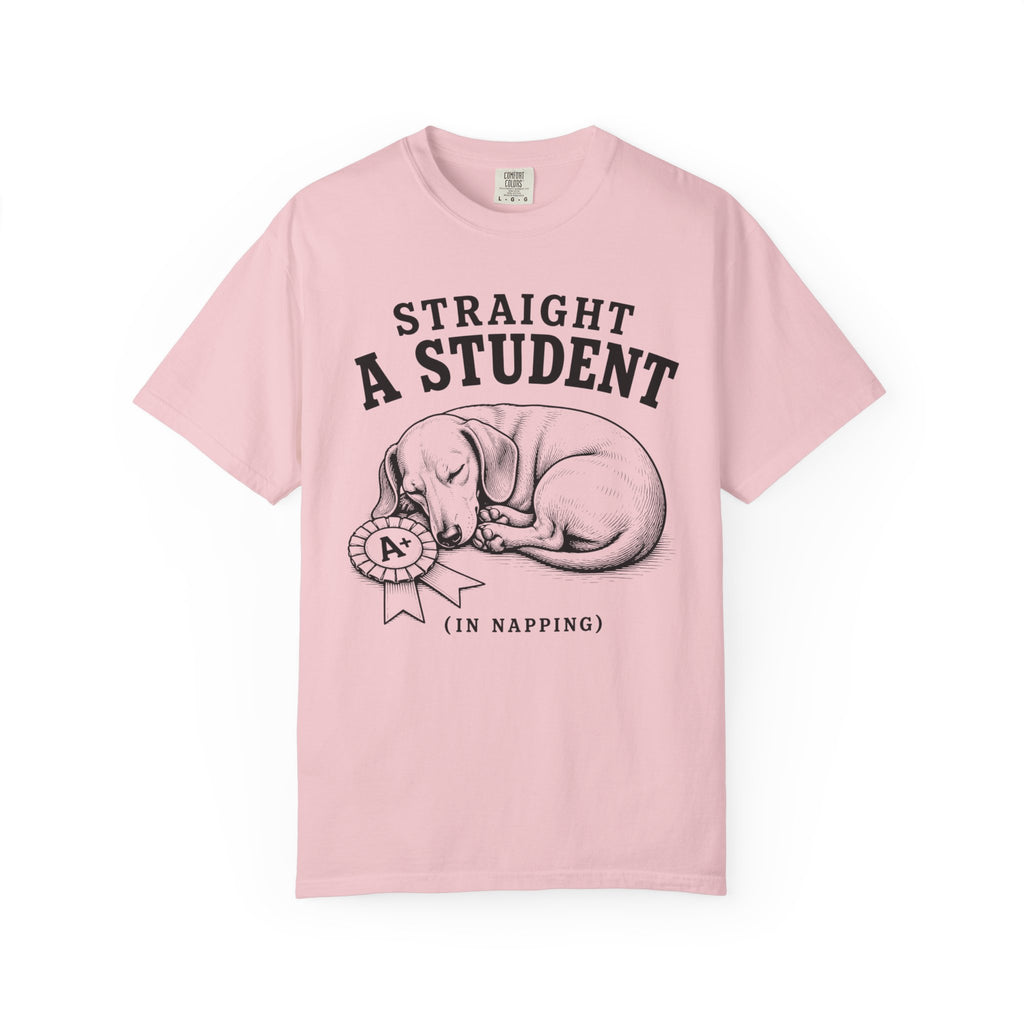 Straight A Student In Napping Dachshund Shirt — The Educational Series