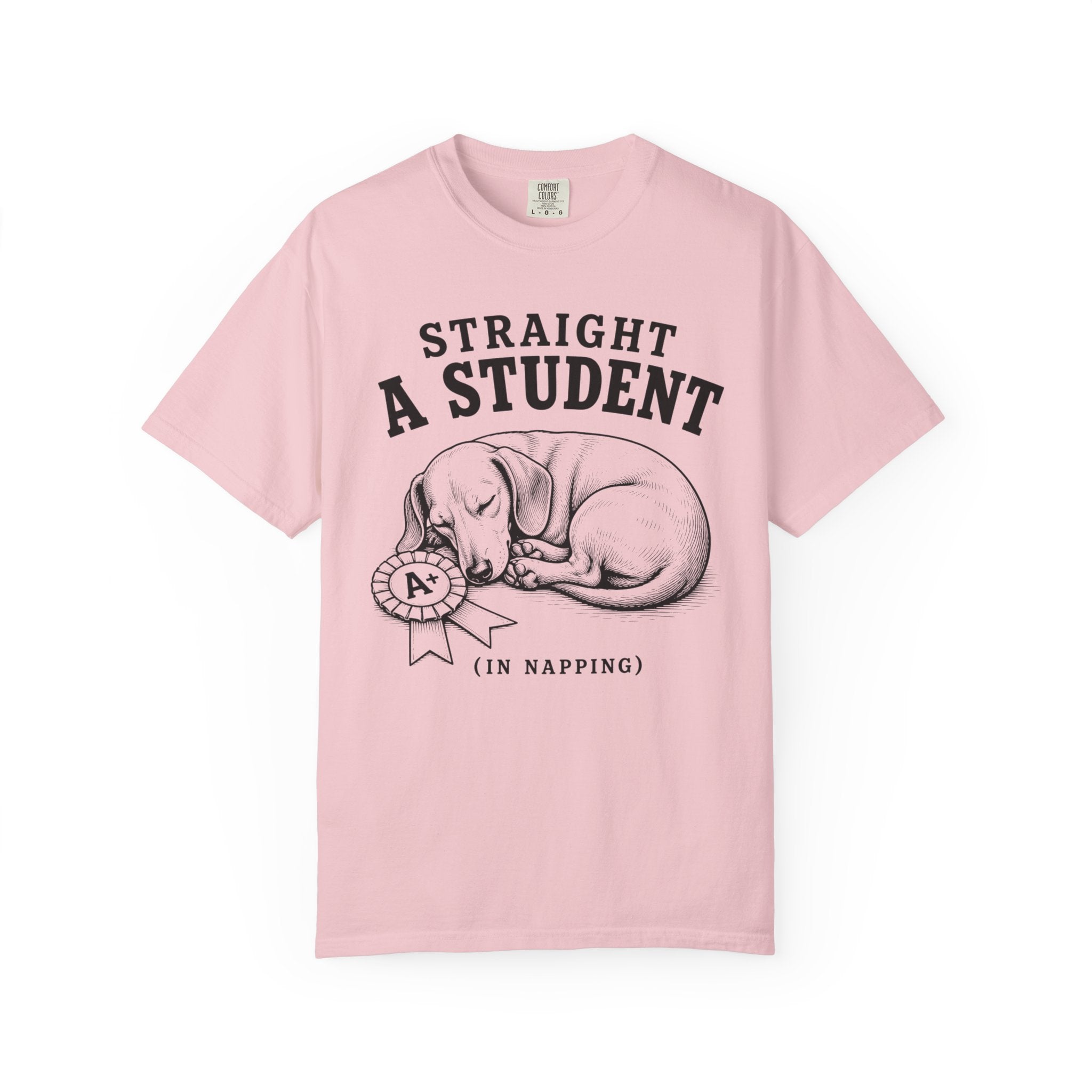 Straight A Student In Napping Dachshund Shirt — The Educational Series