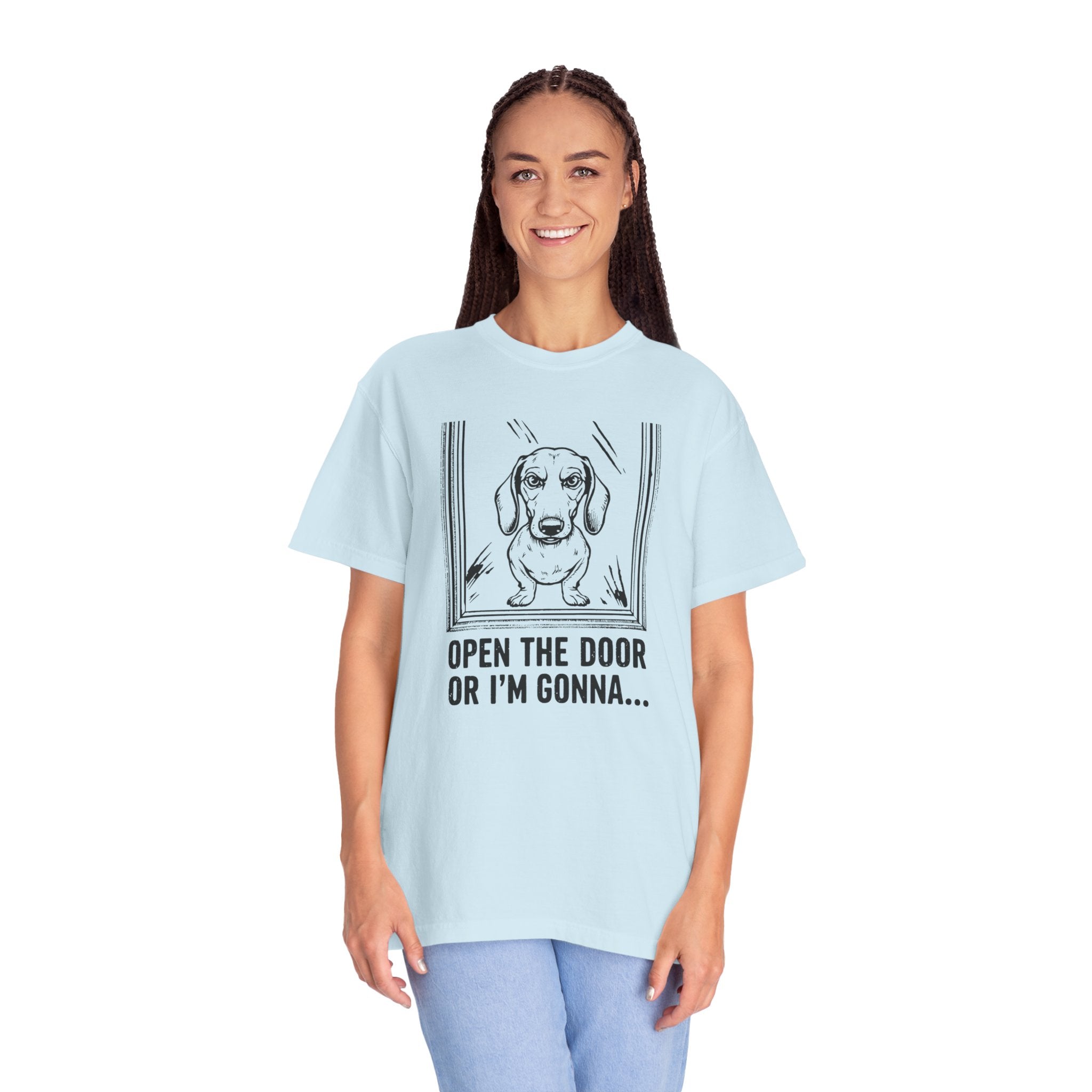Open The Door - Doxie League Tee