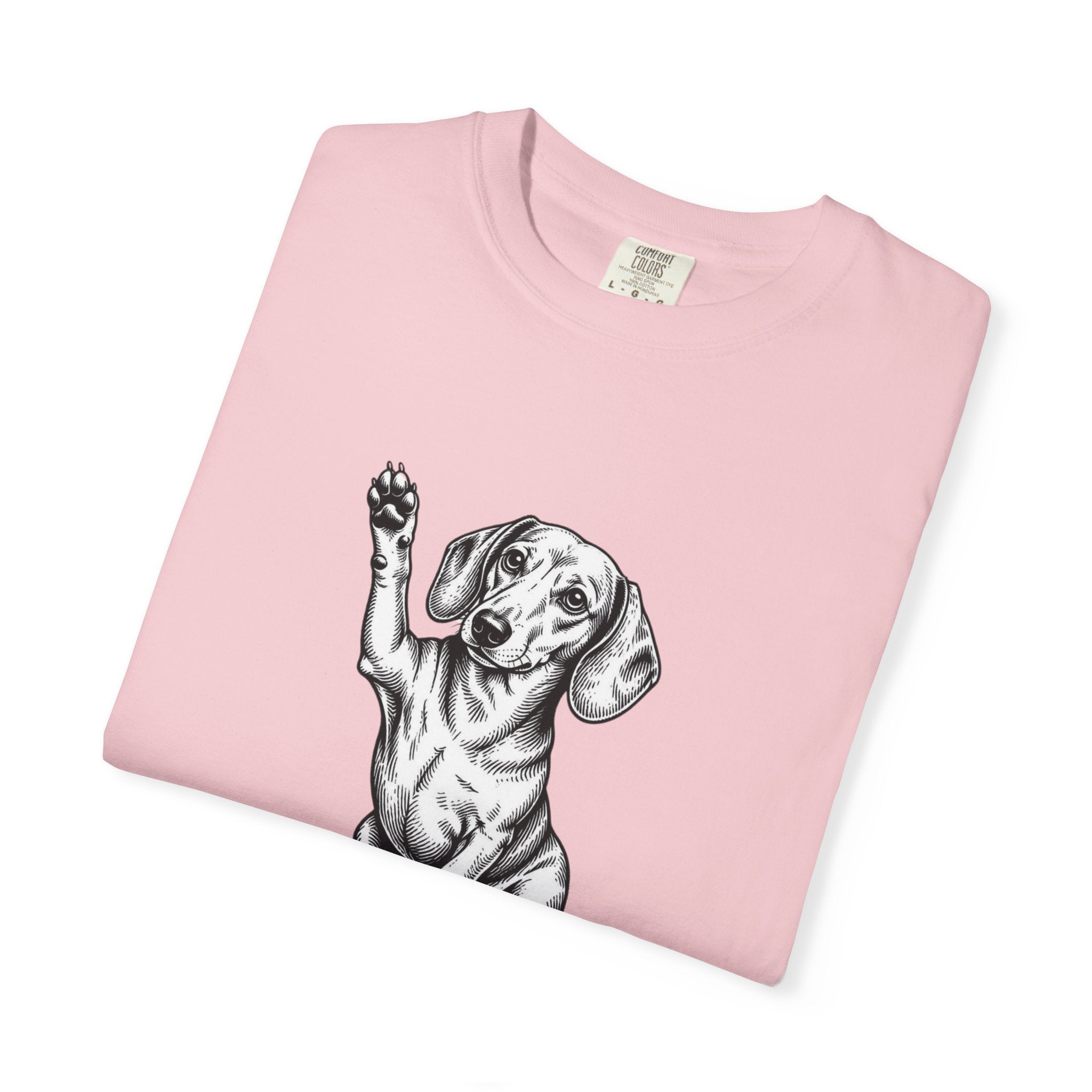 Extra Credit Energy Dachshund Shirt — The Educational Series