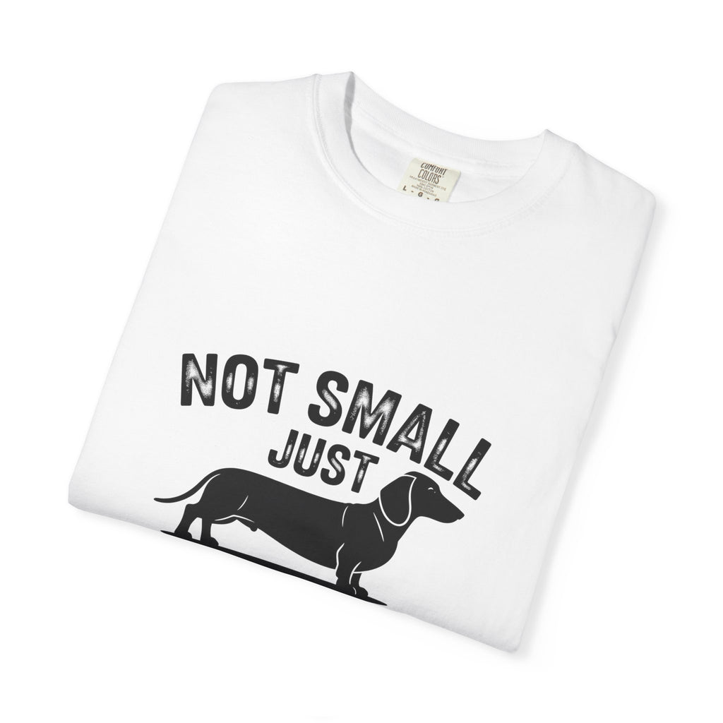 Fun Sized - Doxie League Tee