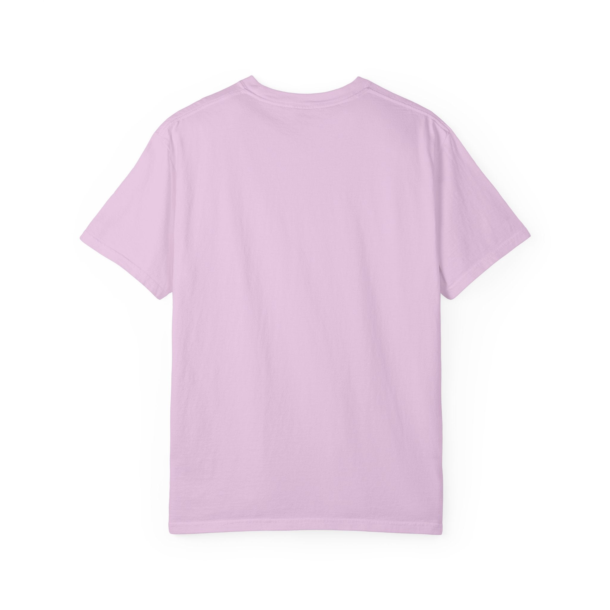 Dinosaur Rawr - Doxie League Tee
