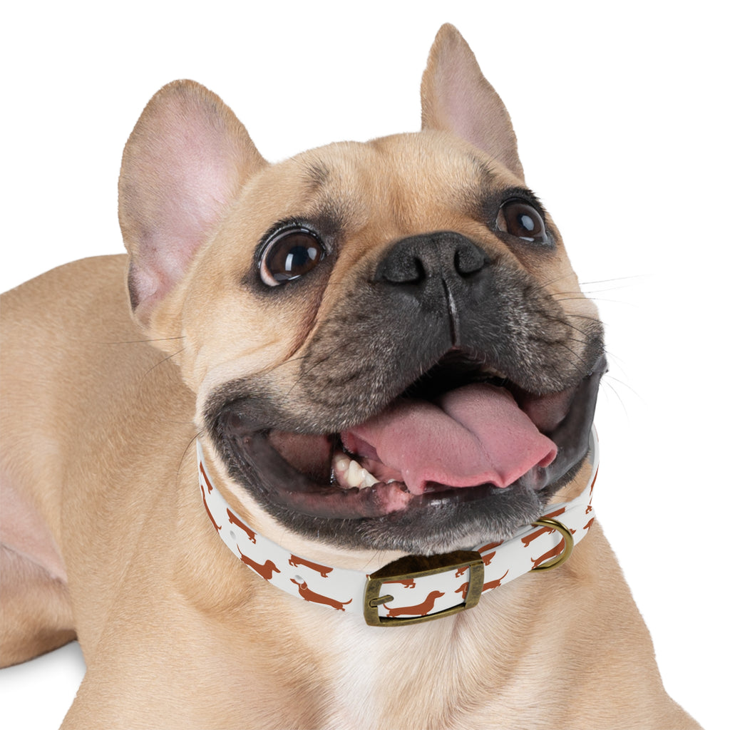 DL Brand Dog Collar — Dachshund Pattern | Doxie League