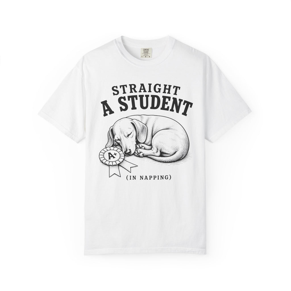 Straight A Student In Napping Dachshund Shirt — The Educational Series