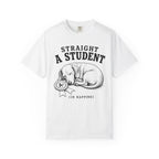 Straight A Student In Napping Dachshund Shirt — The Educational Series