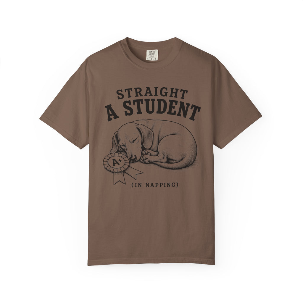 Straight A Student In Napping Dachshund Shirt — The Educational Series