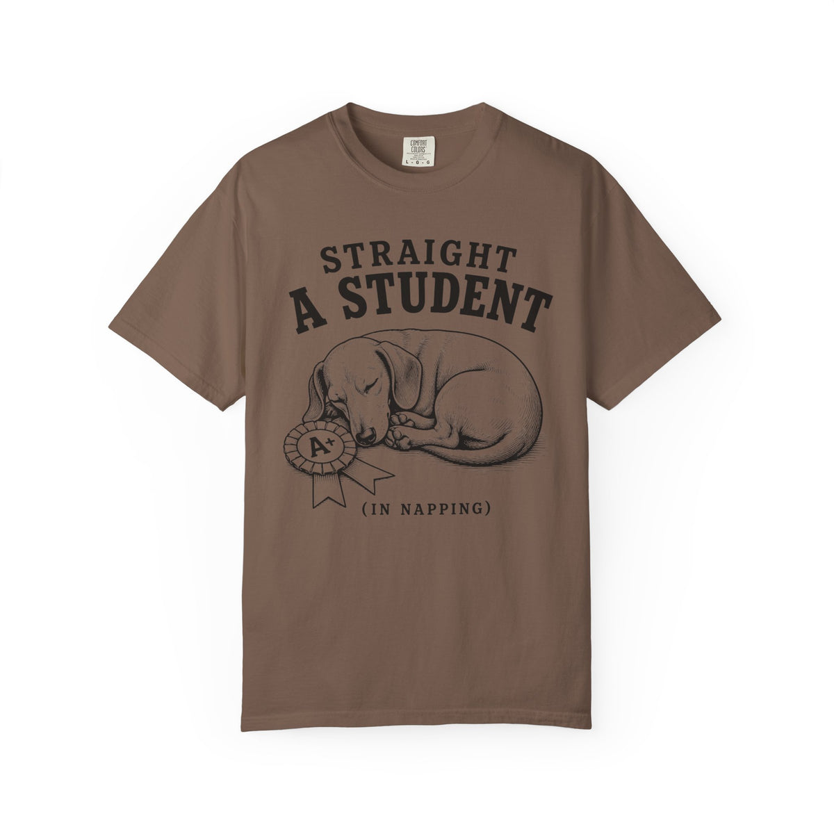 Straight A Student In Napping Dachshund Shirt — The Educational Series