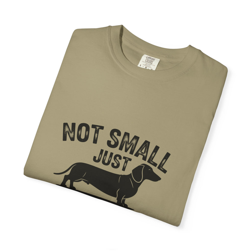 Fun Sized - Doxie League Tee