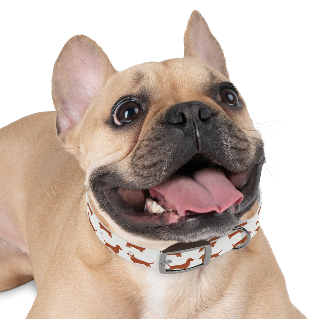 DL Brand Dog Collar — Dachshund Pattern | Doxie League