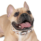DL Brand Dog Collar — Dachshund Pattern | Doxie League