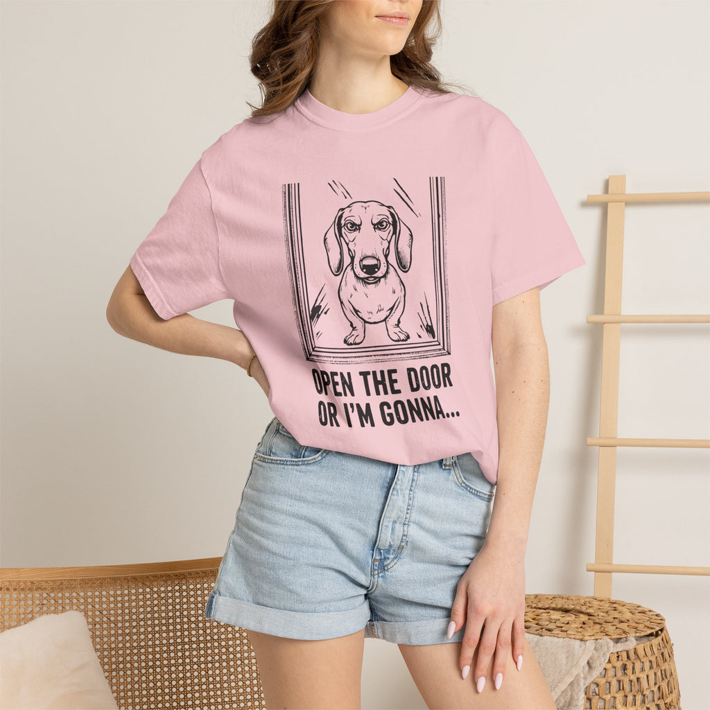 Open The Door - Doxie League Tee