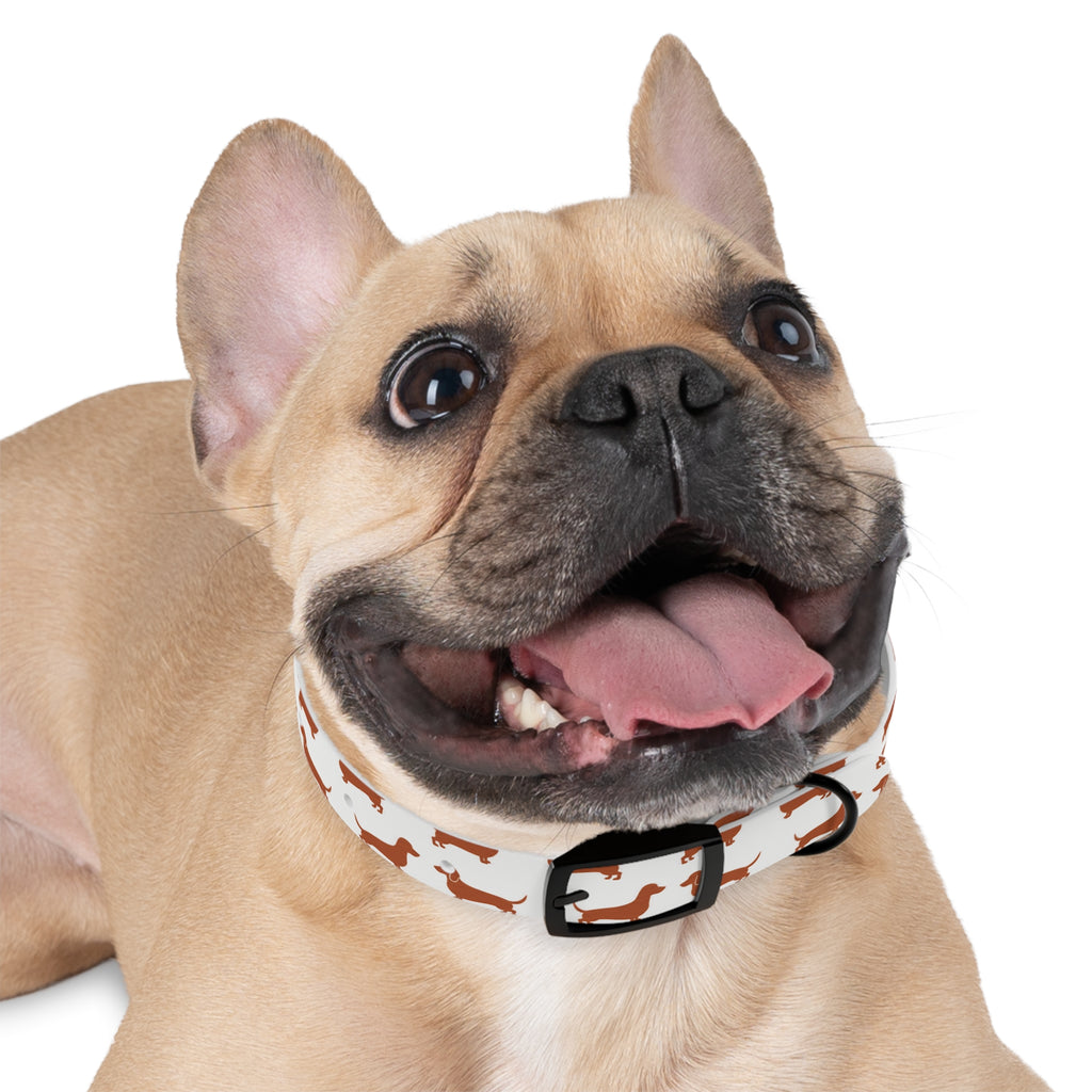 DL Brand Dog Collar — Dachshund Pattern | Doxie League