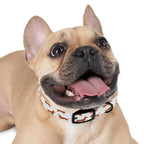 DL Brand Dog Collar — Dachshund Pattern | Doxie League