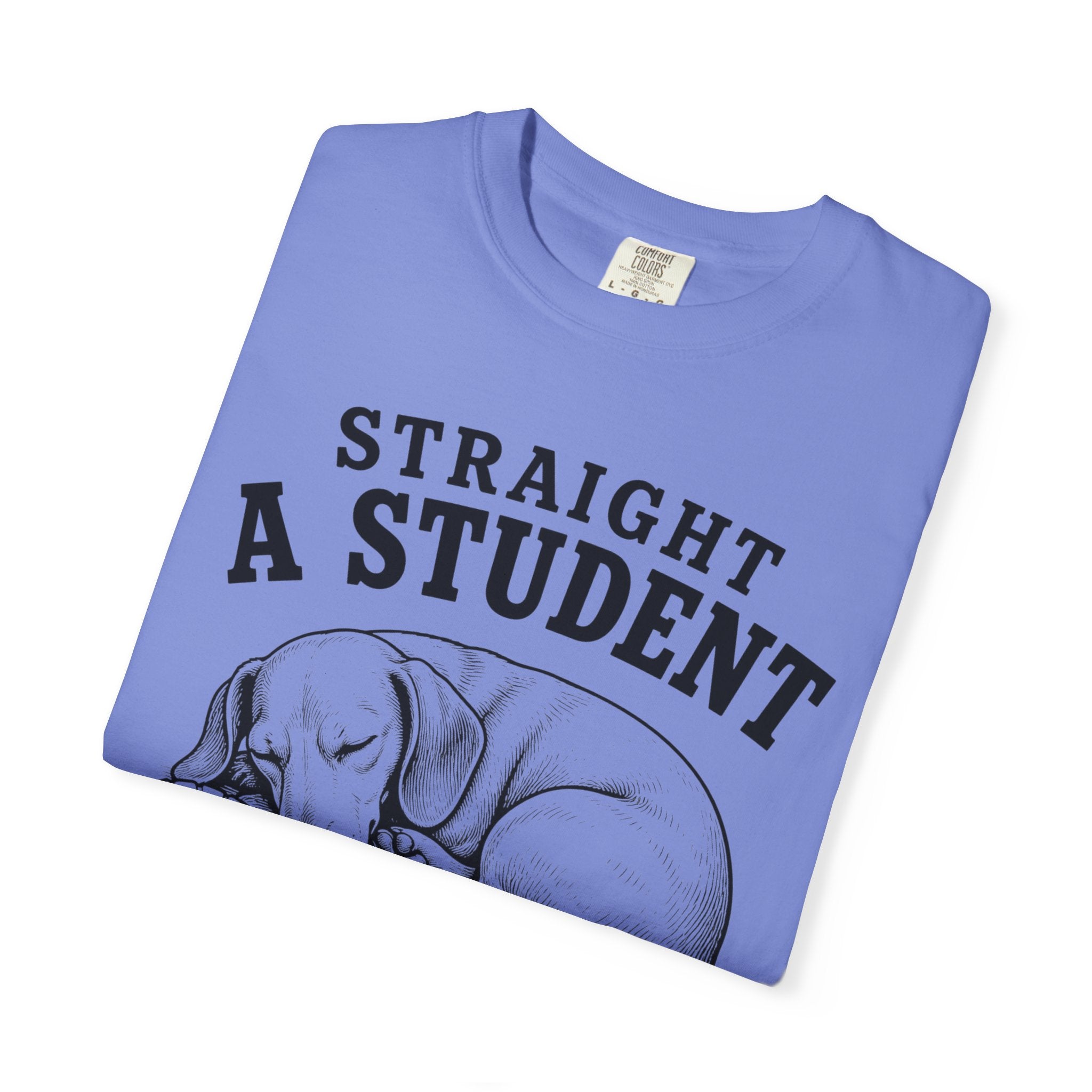 Straight A Student In Napping Dachshund Shirt — The Educational Series